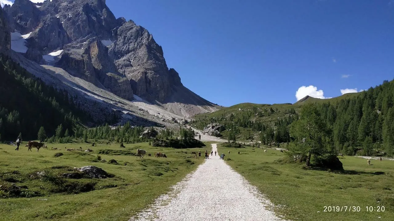 Il Covo Dello Sciatore Falcade